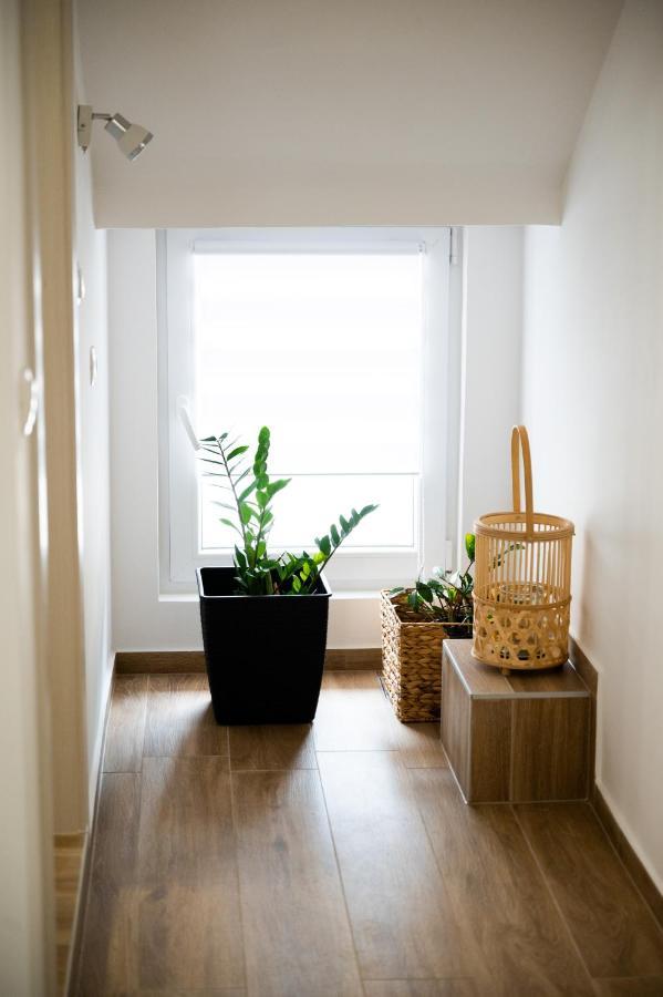 Apartmant Green Treasure Marčana Buitenkant foto